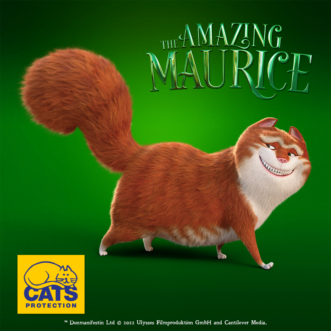 @CatsProtection team up with Maurice