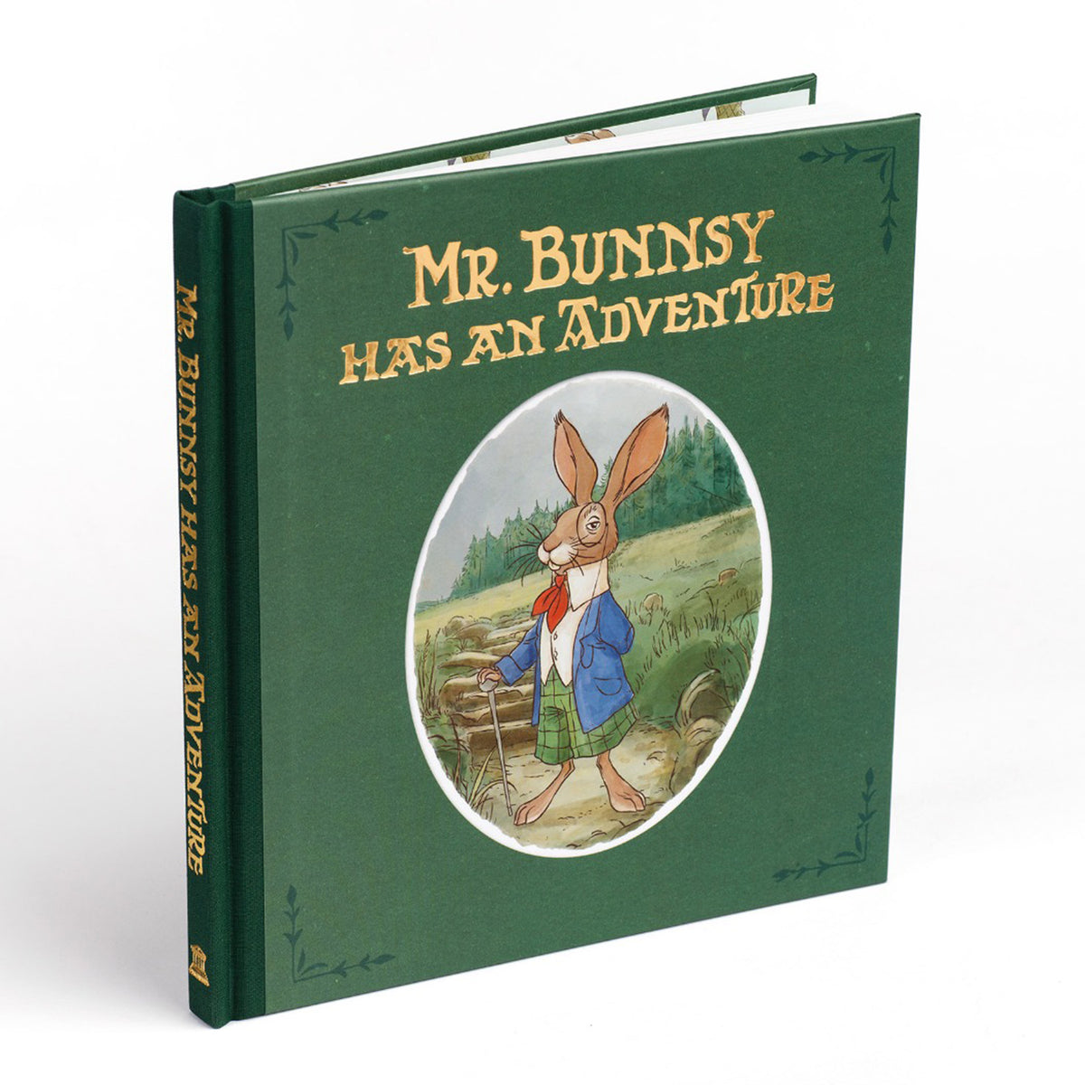 Mr Bunnsy Has An Adventure Book