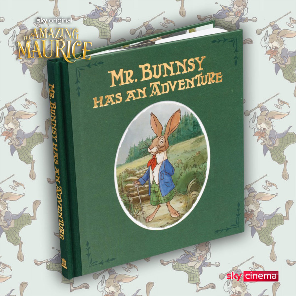 Mr Bunnsy Has An Adventure Book